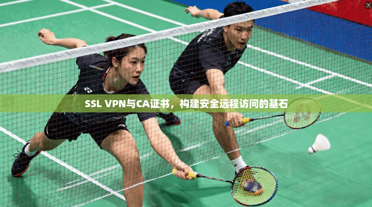 SSL VPN与CA证书，构建安全远程访问的基石