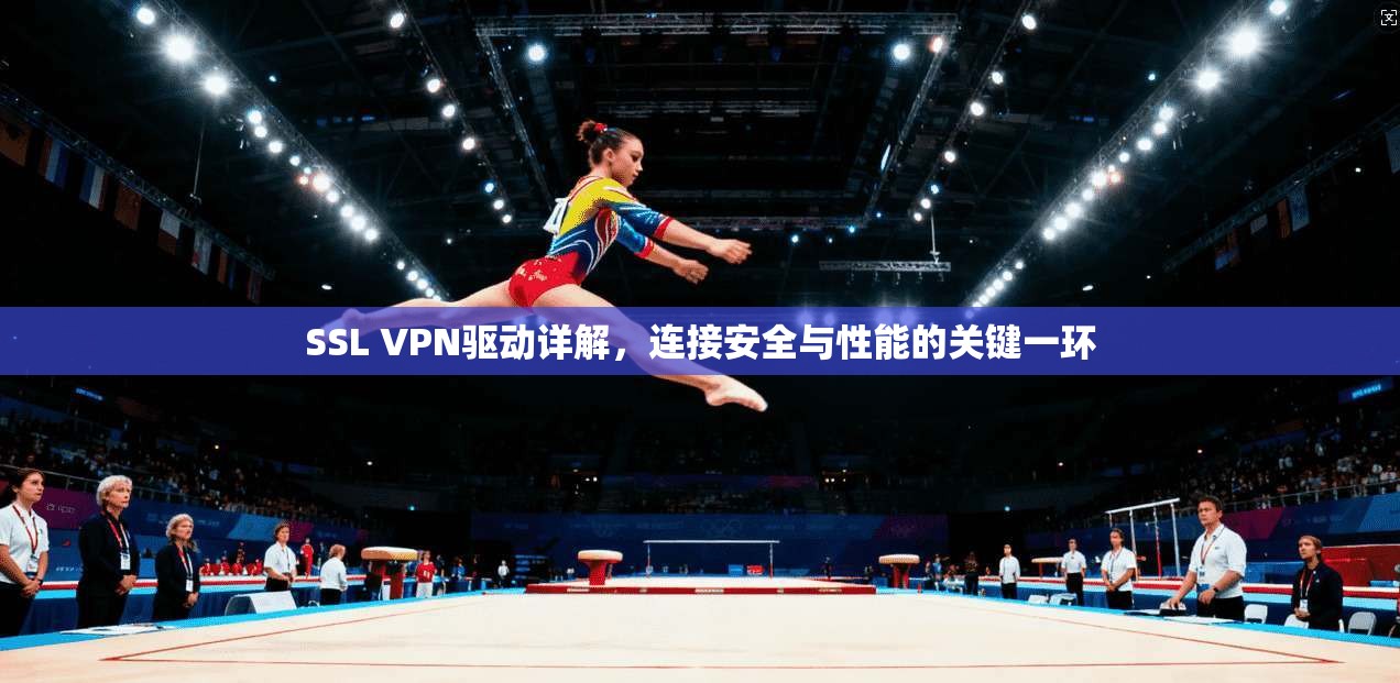 SSL VPN驱动详解，连接安全与性能的关键一环