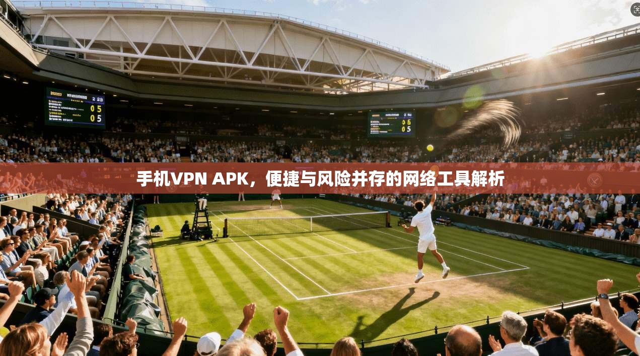 手机VPN APK，便捷与风险并存的网络工具解析
