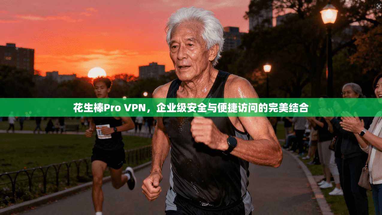 花生棒Pro VPN，企业级安全与便捷访问的完美结合