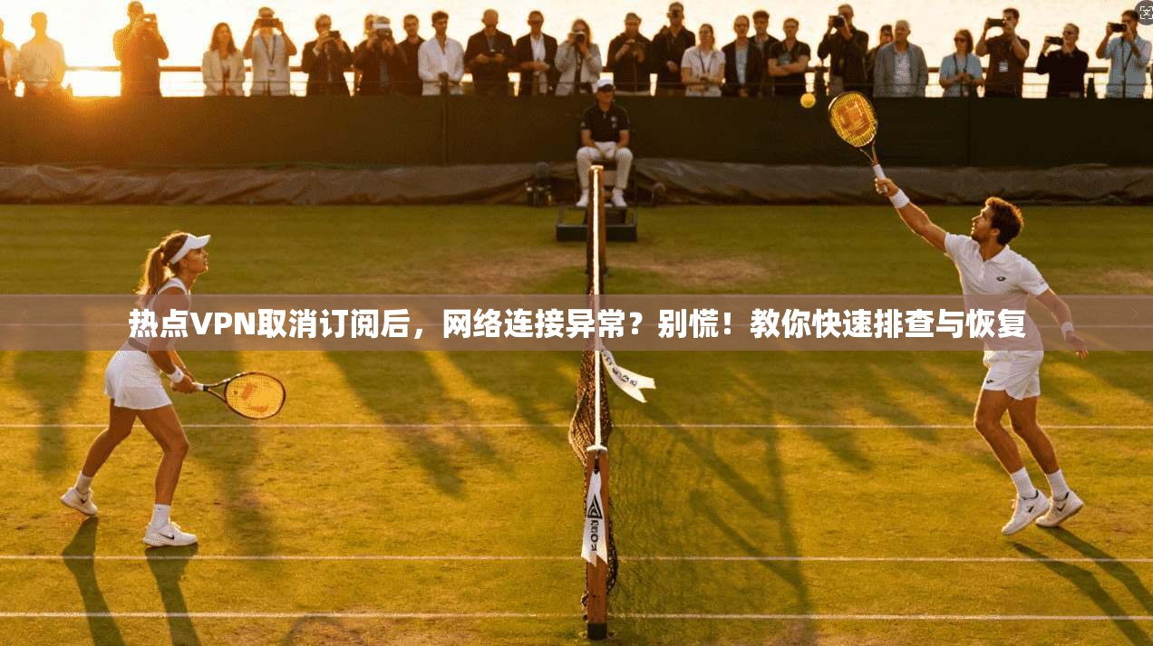 热点VPN取消订阅后，网络连接异常？别慌！教你快速排查与恢复