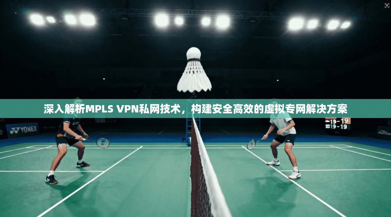 深入解析MPLS VPN私网技术，构建安全高效的虚拟专网解决方案