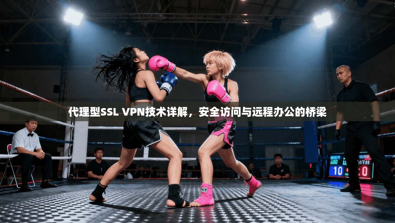 代理型SSL VPN技术详解，安全访问与远程办公的桥梁