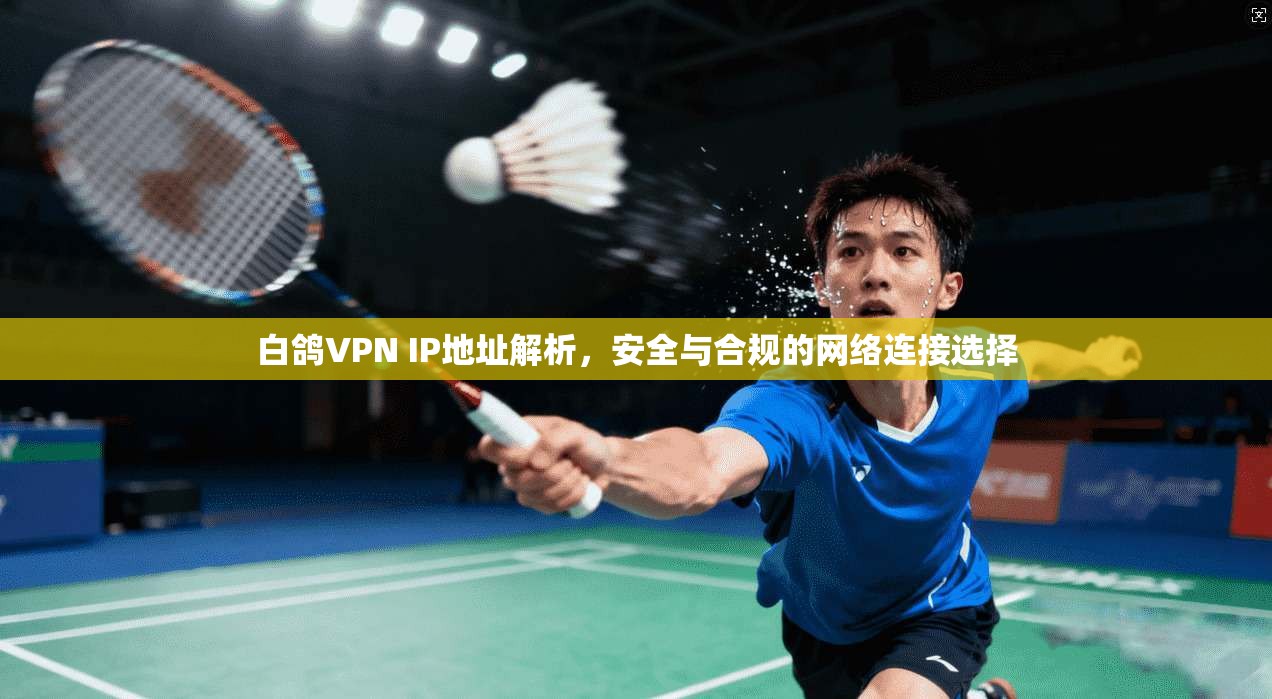 白鸽VPN IP地址解析，安全与合规的网络连接选择