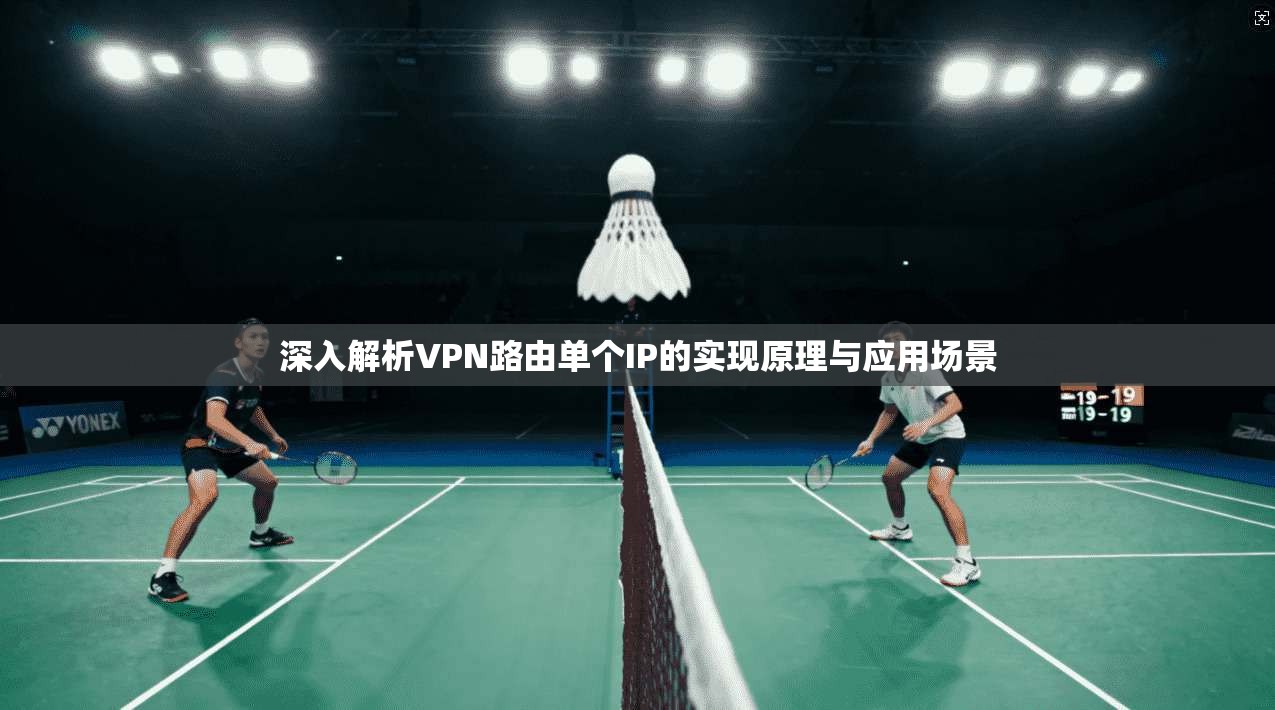 深入解析VPN路由单个IP的实现原理与应用场景