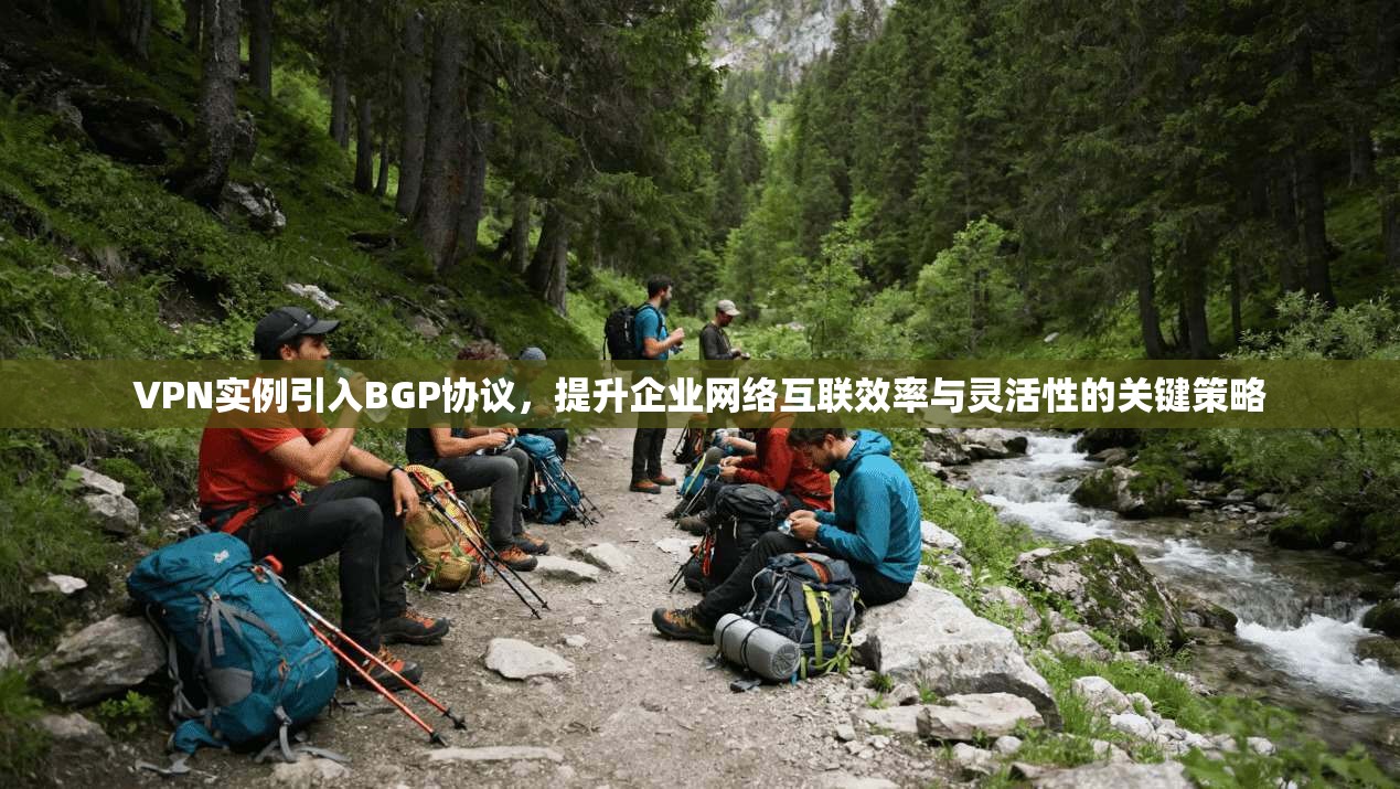 VPN实例引入BGP协议，提升企业网络互联效率与灵活性的关键策略