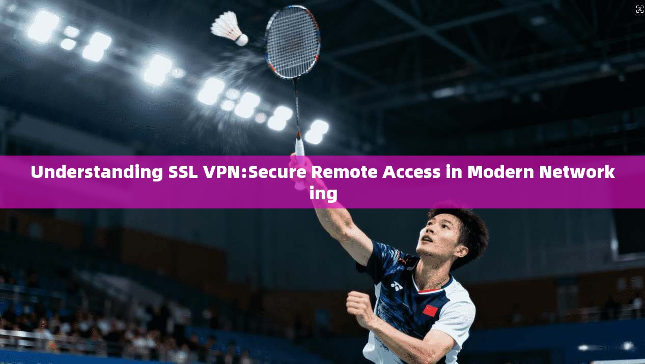 Understanding SSL VPN:Secure Remote Access in Modern Networking