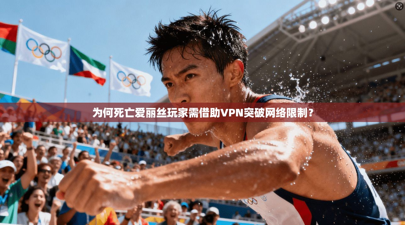 为何死亡爱丽丝玩家需借助VPN突破网络限制？