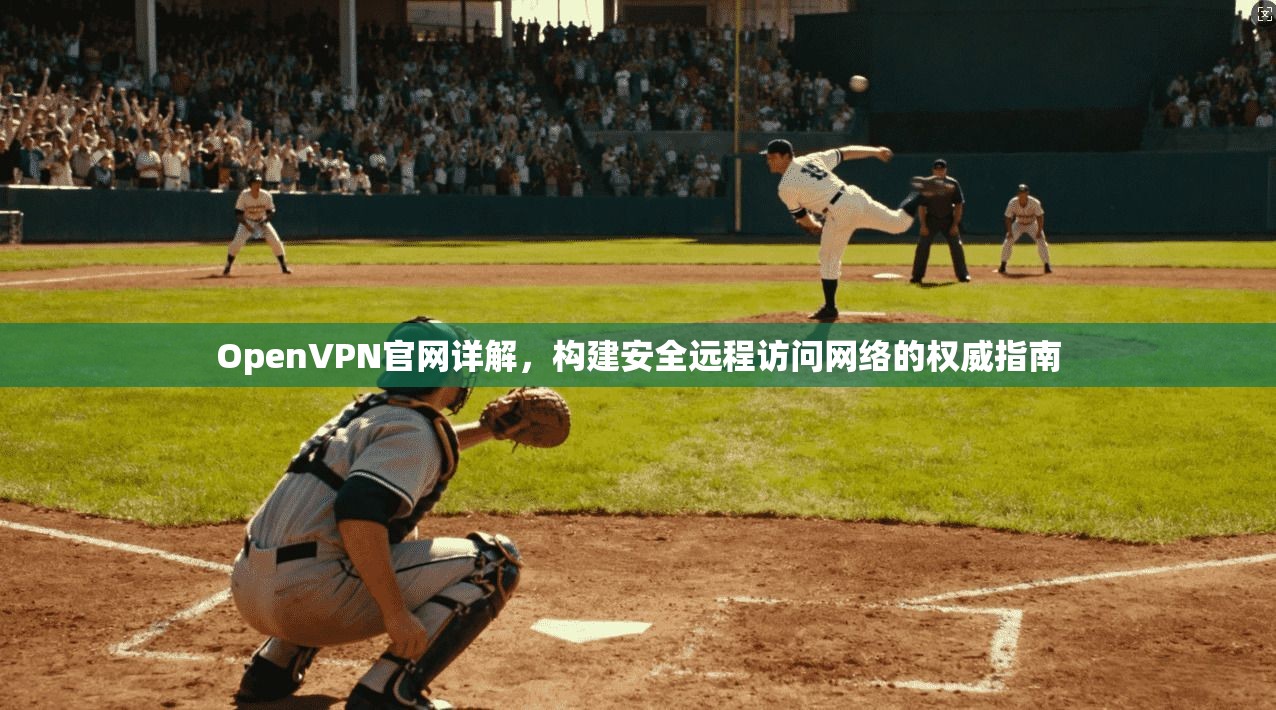 OpenVPN官网详解,构建安全远程访问网络的权威指南