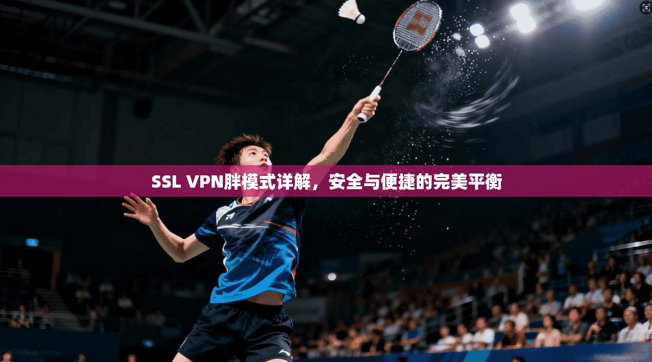 SSL VPN胖模式详解，安全与便捷的完美平衡