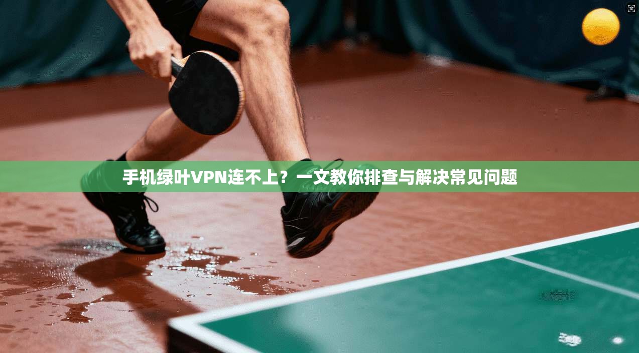手机绿叶VPN连不上？一文教你排查与解决常见问题
