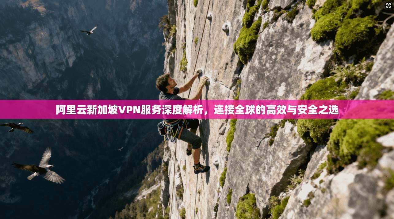 阿里云新加坡VPN服务深度解析，连接全球的高效与安全之选