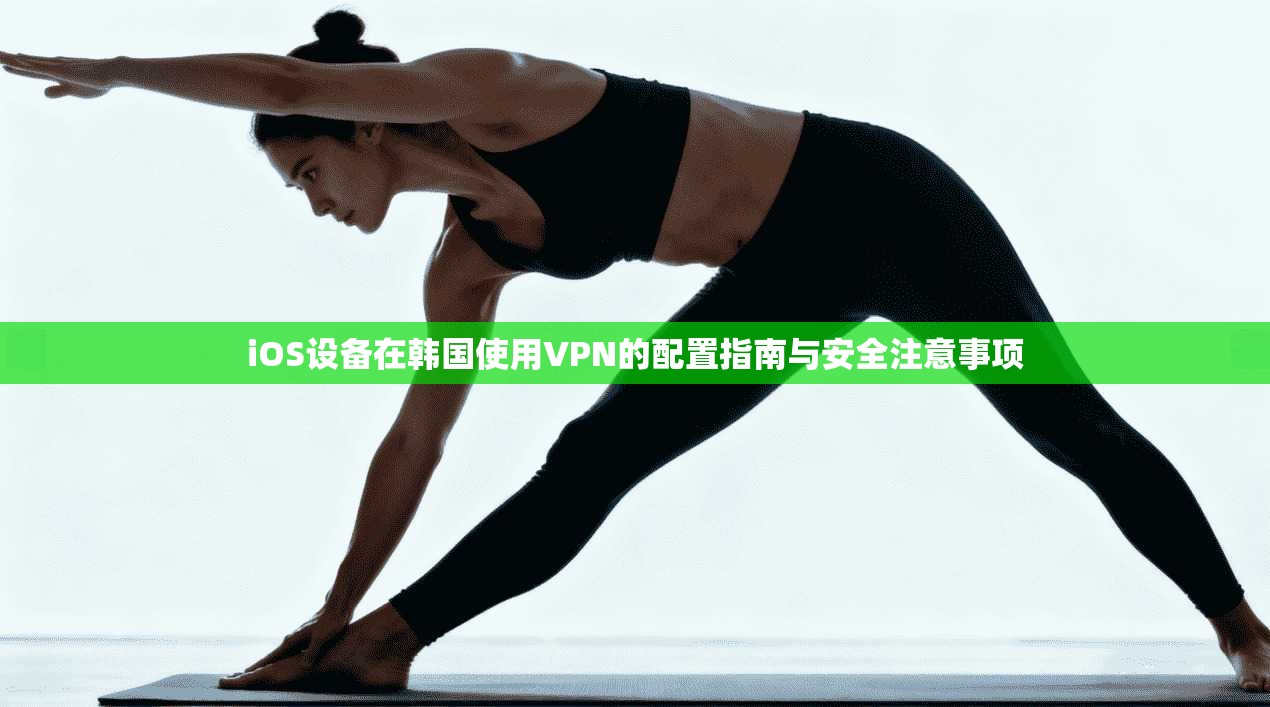 iOS设备在韩国使用VPN的配置指南与安全注意事项
