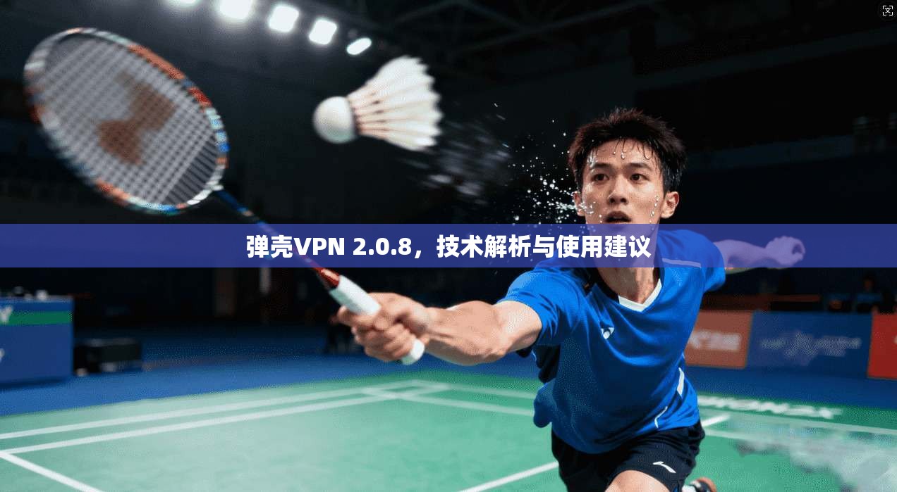 弹壳VPN 2.0.8,技术解析与使用建议