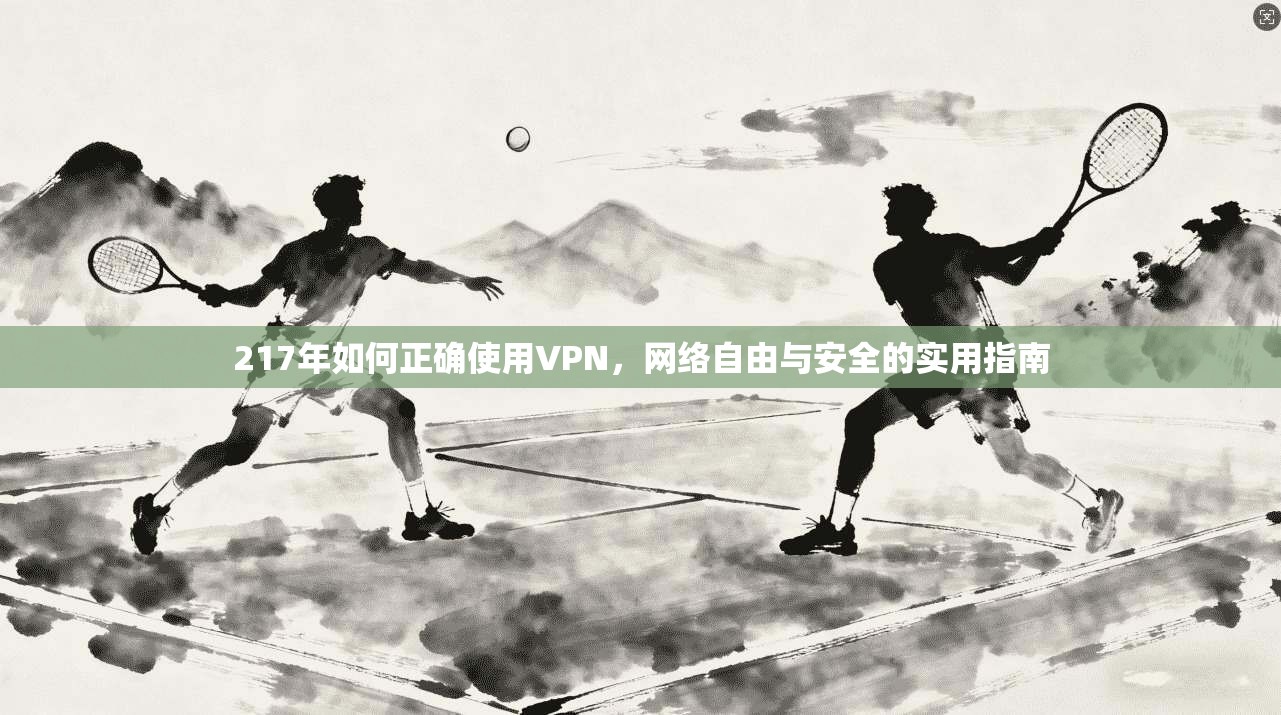 217年如何正确使用VPN，网络自由与安全的实用指南