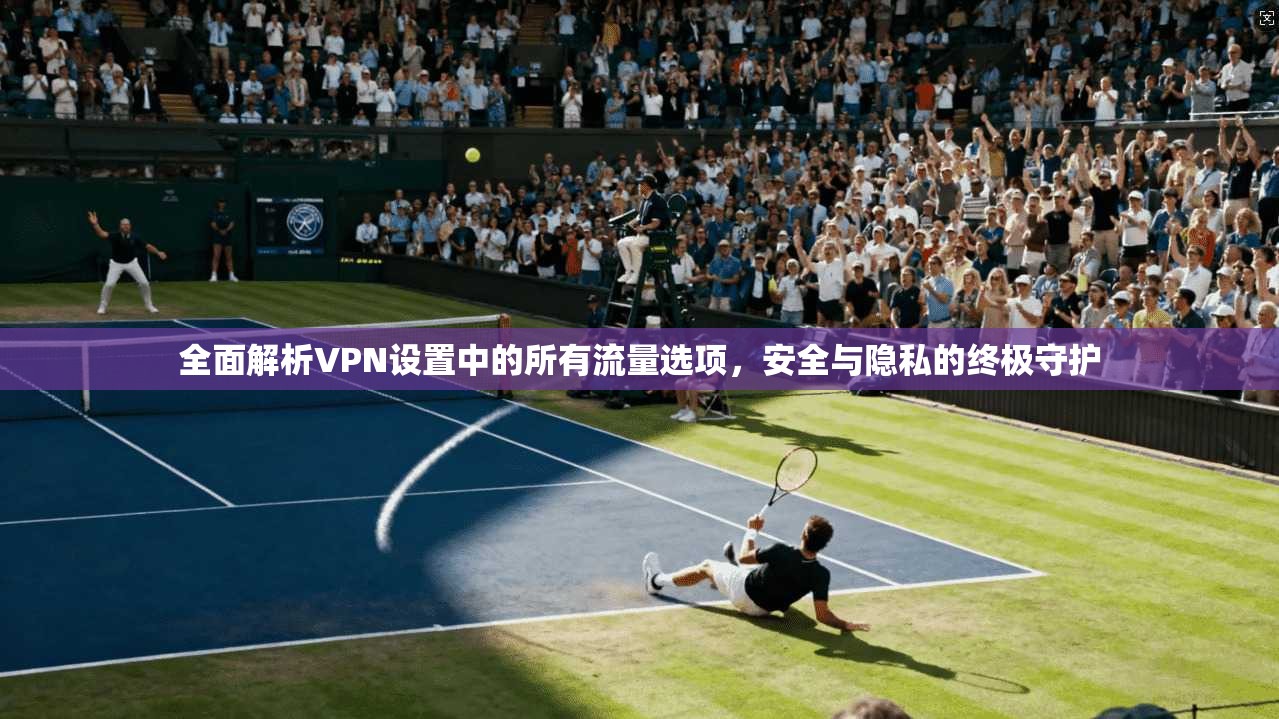 全面解析VPN设置中的所有流量选项，安全与隐私的终极守护