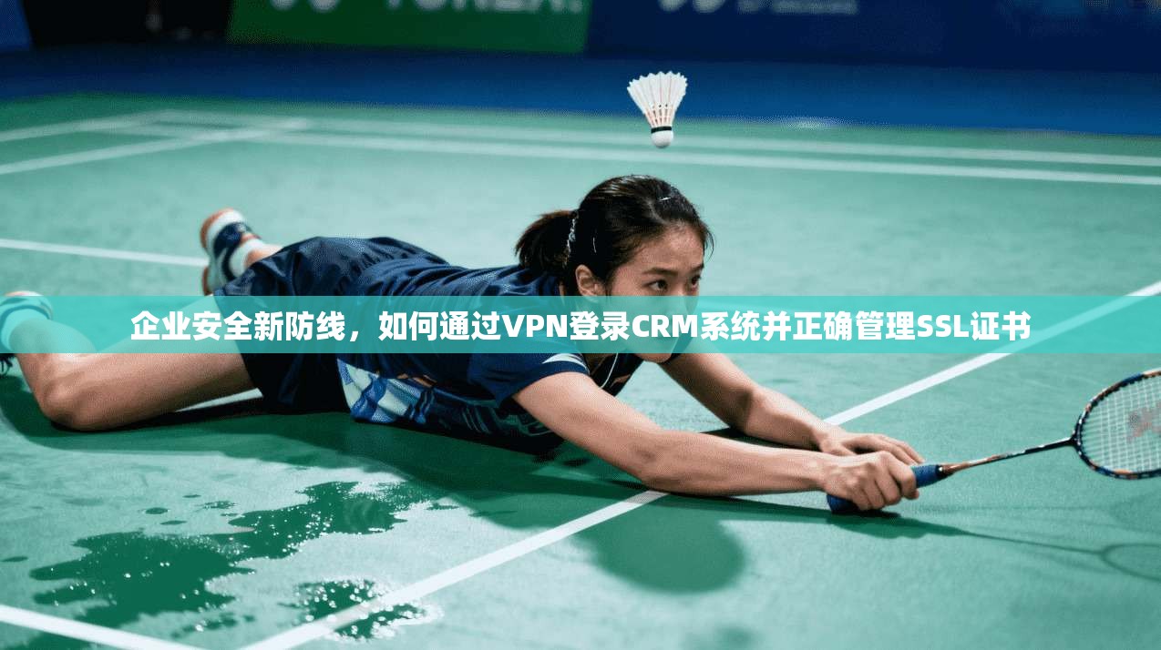企业安全新防线，如何通过VPN登录CRM系统并正确管理SSL证书