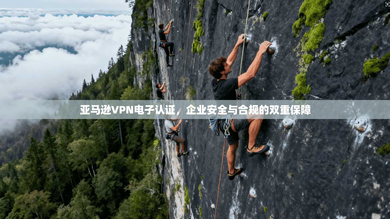 亚马逊VPN电子认证，企业安全与合规的双重保障
