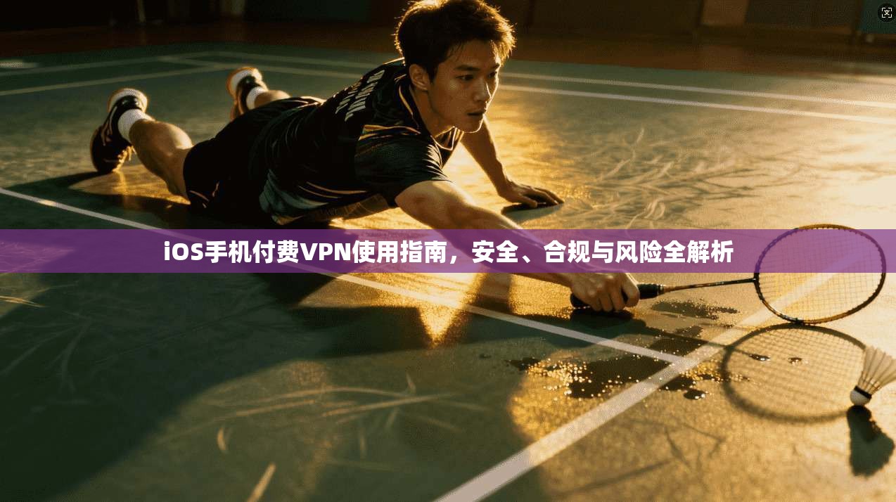 iOS手机付费VPN使用指南，安全、合规与风险全解析