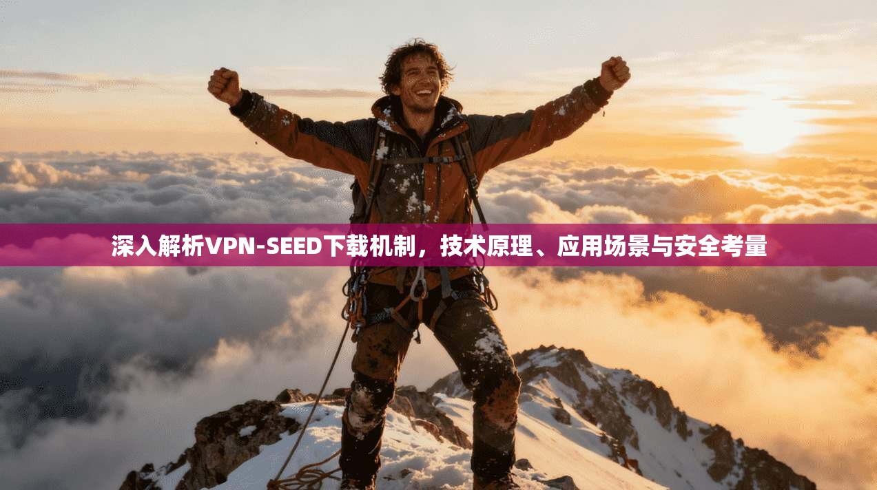 深入解析VPN-SEED下载机制，技术原理、应用场景与安全考量