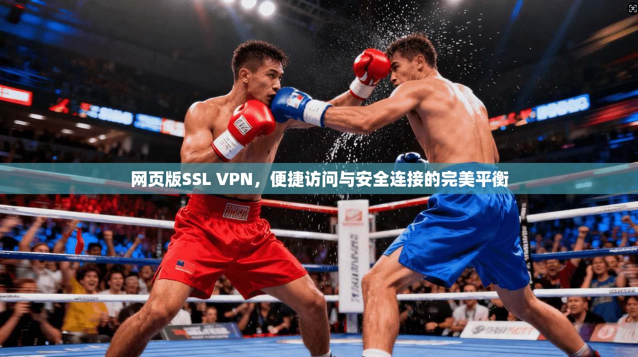 网页版SSL VPN，便捷访问与安全连接的完美平衡