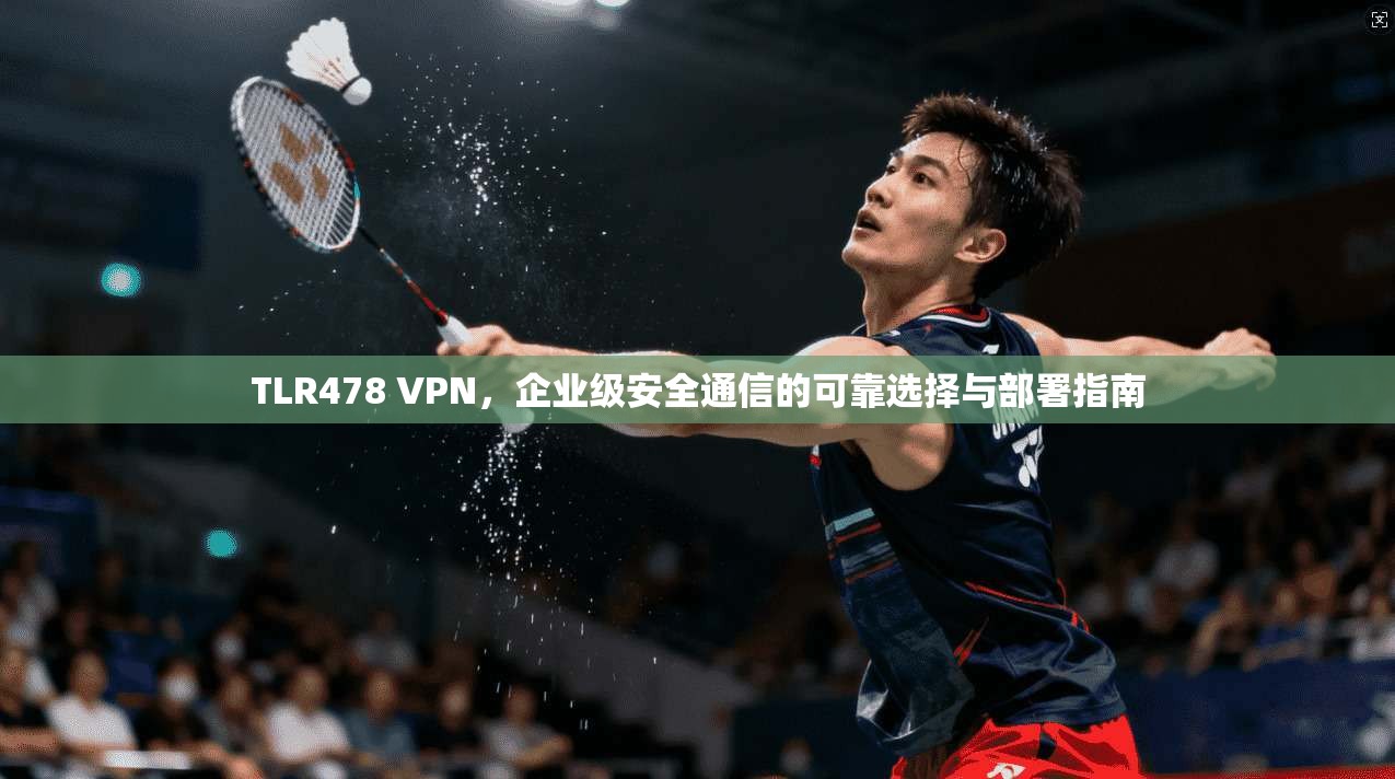 TLR478 VPN，企业级安全通信的可靠选择与部署指南