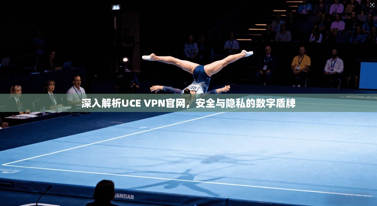 深入解析UCE VPN官网，安全与隐私的数字盾牌