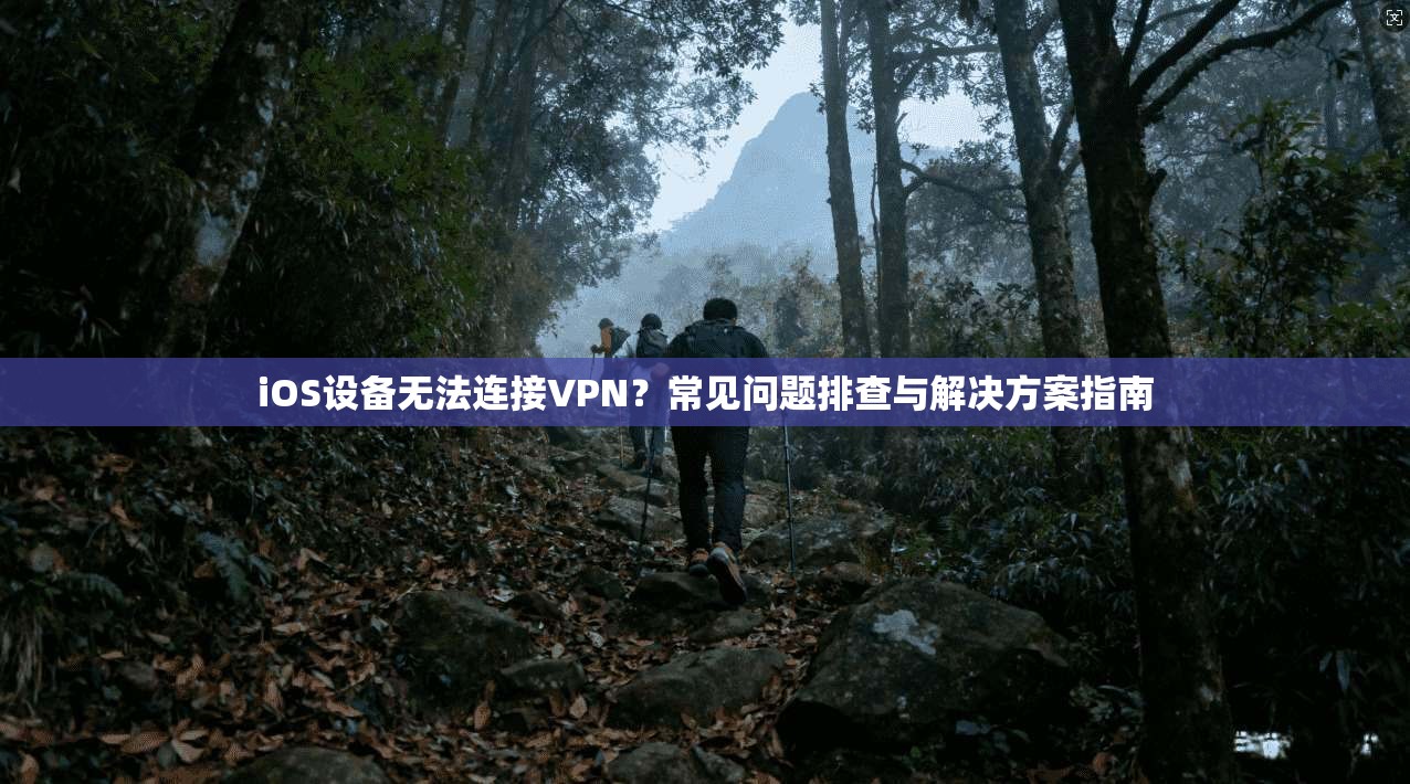 iOS设备无法连接VPN？常见问题排查与解决方案指南