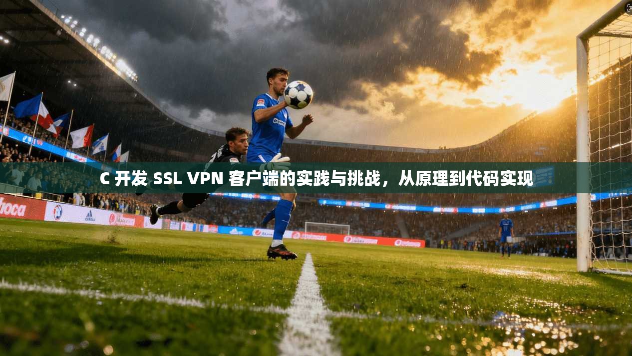 C 开发 SSL VPN 客户端的实践与挑战，从原理到代码实现