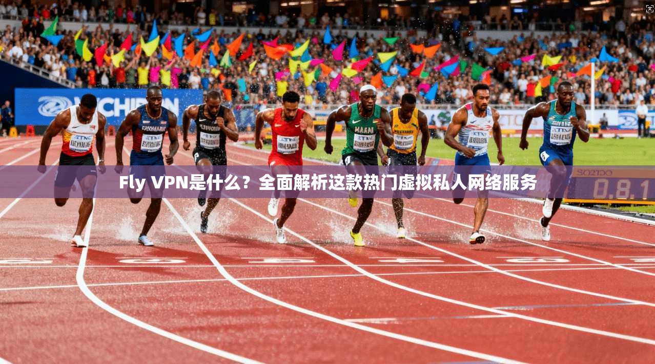 Fly VPN是什么？全面解析这款热门虚拟私人网络服务