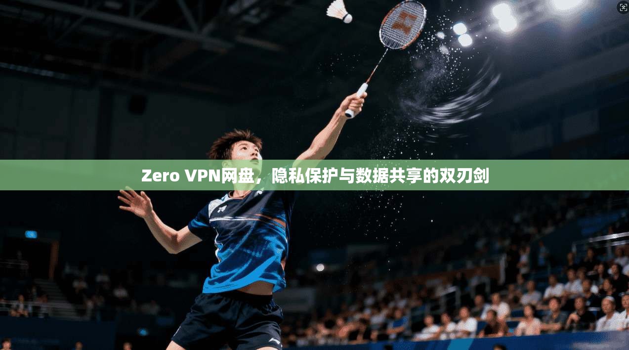 Zero VPN网盘，隐私保护与数据共享的双刃剑