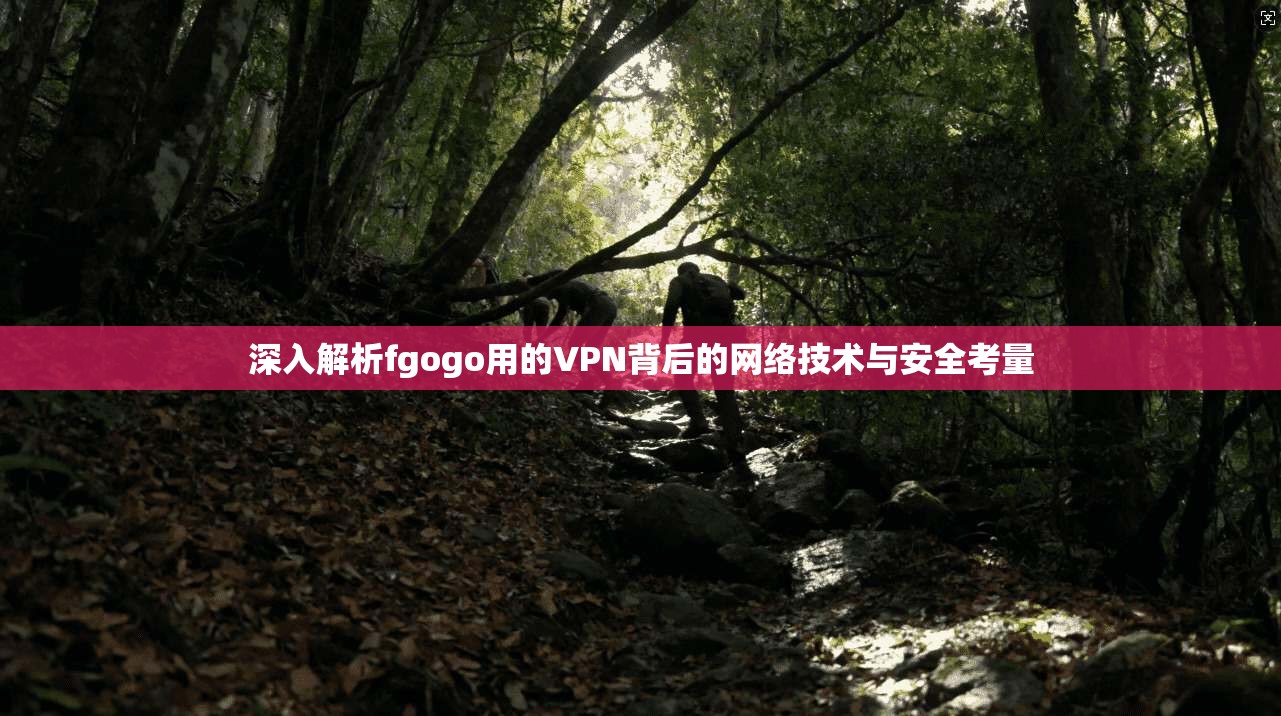 深入解析fgogo用的VPN背后的网络技术与安全考量