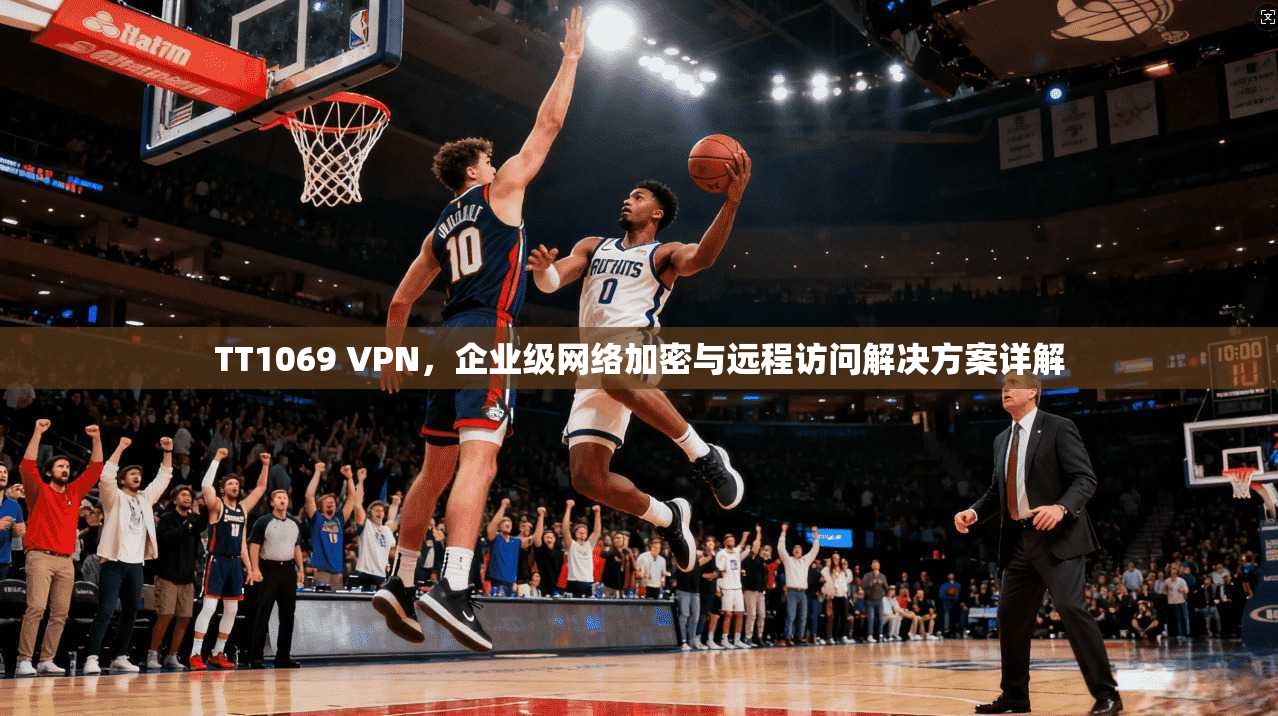 TT1069 VPN，企业级网络加密与远程访问解决方案详解