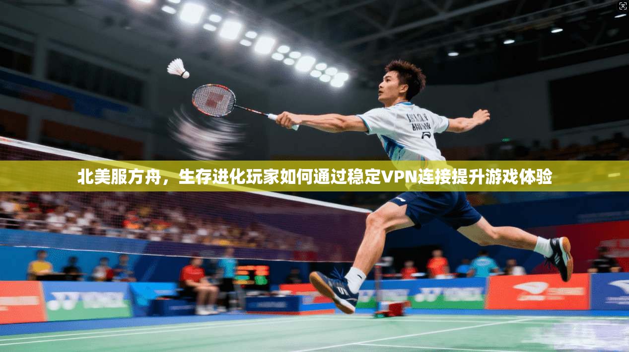 北美服方舟，生存进化玩家如何通过稳定VPN连接提升游戏体验