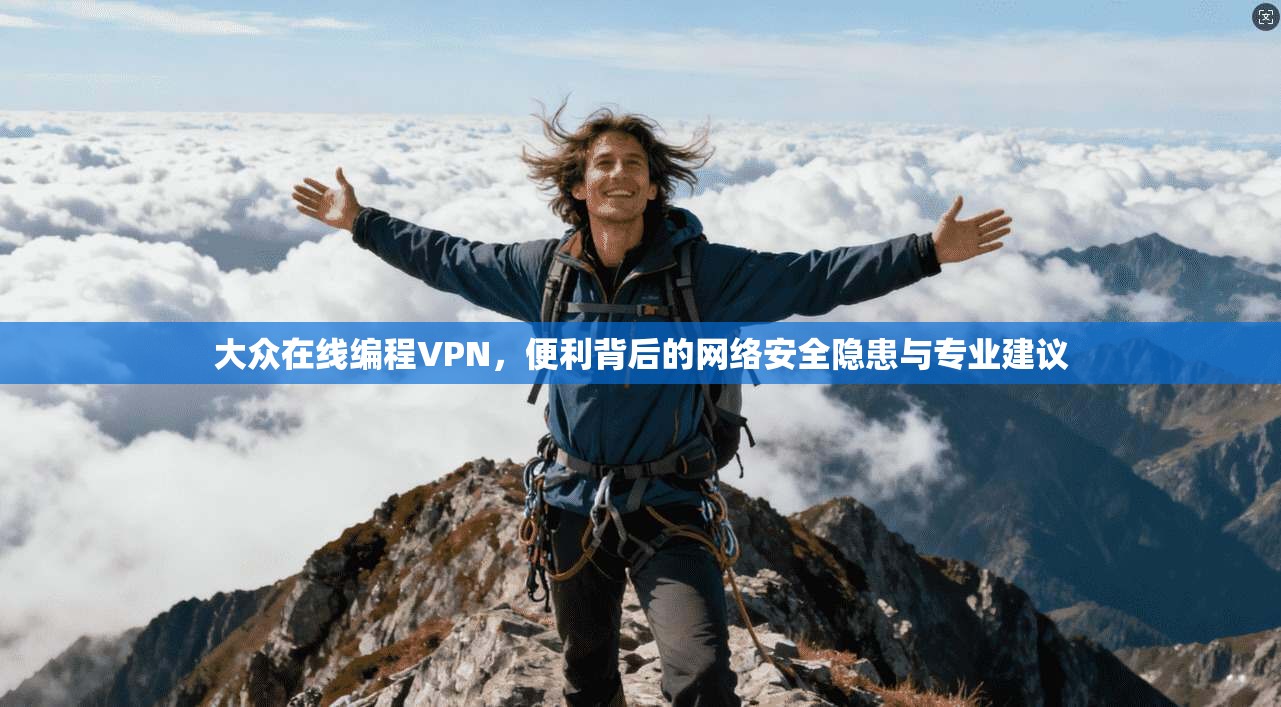 大众在线编程VPN，便利背后的网络安全隐患与专业建议