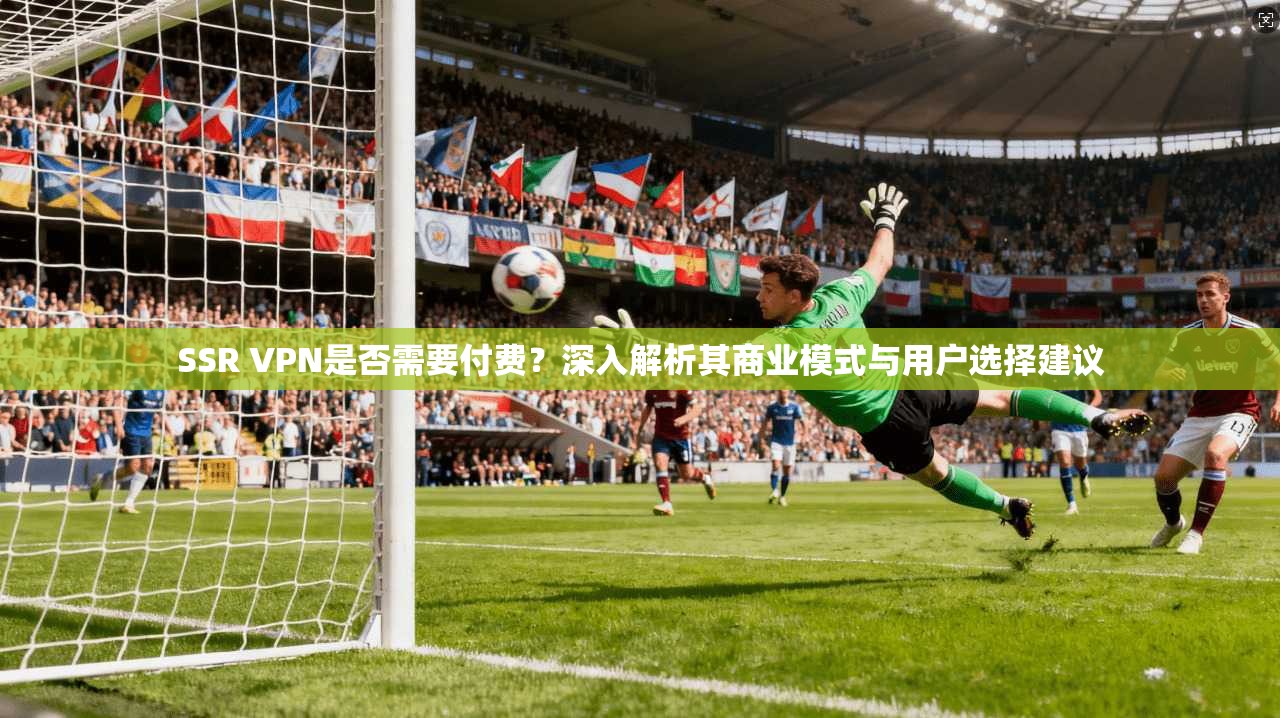 SSR VPN是否需要付费？深入解析其商业模式与用户选择建议