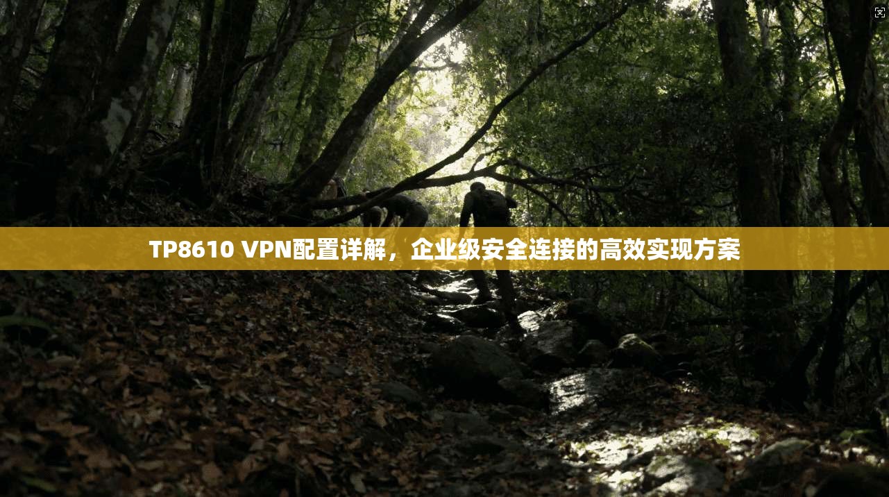 TP8610 VPN配置详解，企业级安全连接的高效实现方案