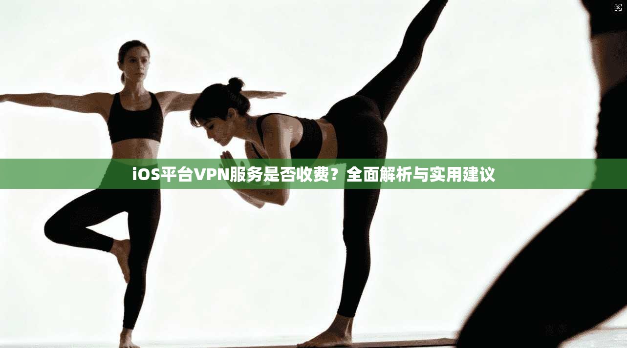 iOS平台VPN服务是否收费？全面解析与实用建议