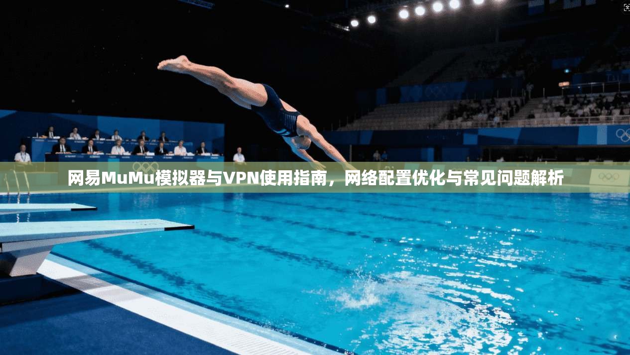 网易MuMu模拟器与VPN使用指南,网络配置优化与常见问题解析
