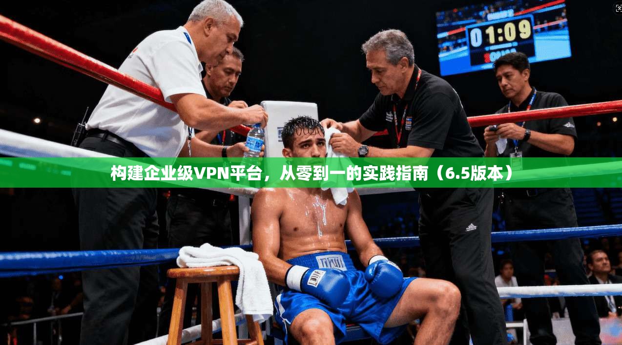 构建企业级VPN平台,从零到一的实践指南(6.5版本)