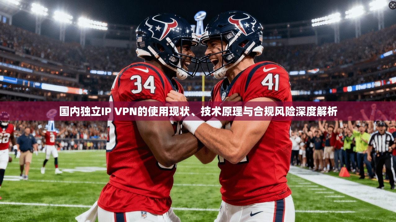 国内独立IP VPN的使用现状、技术原理与合规风险深度解析