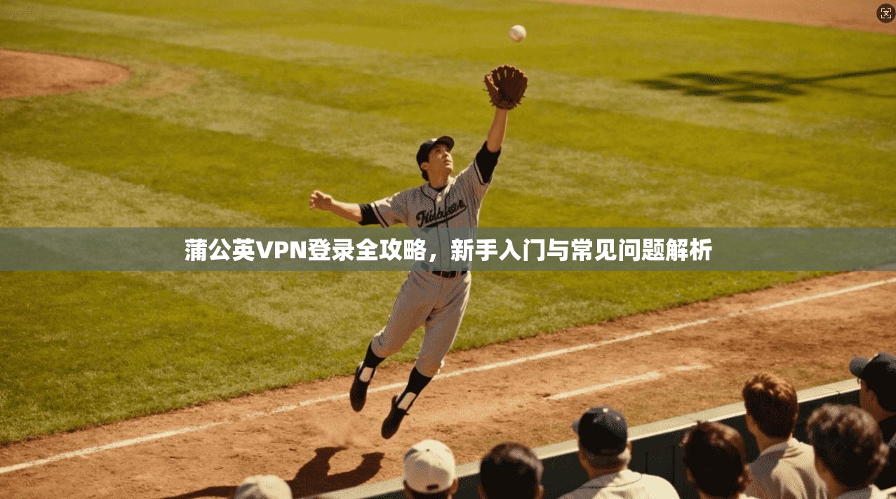 蒲公英VPN登录全攻略，新手入门与常见问题解析