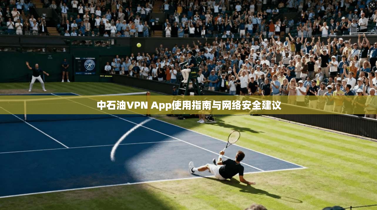 中石油VPN App使用指南与网络安全建议