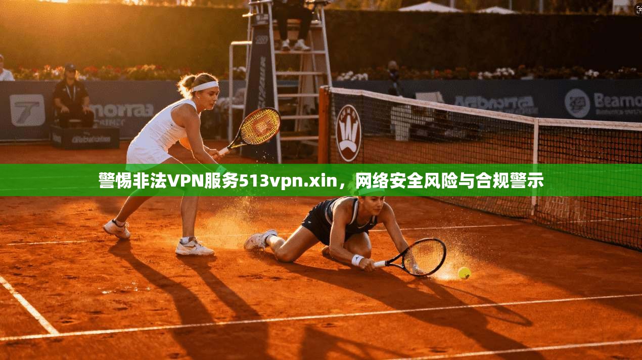 警惕非法VPN服务513vpn.xin，网络安全风险与合规警示