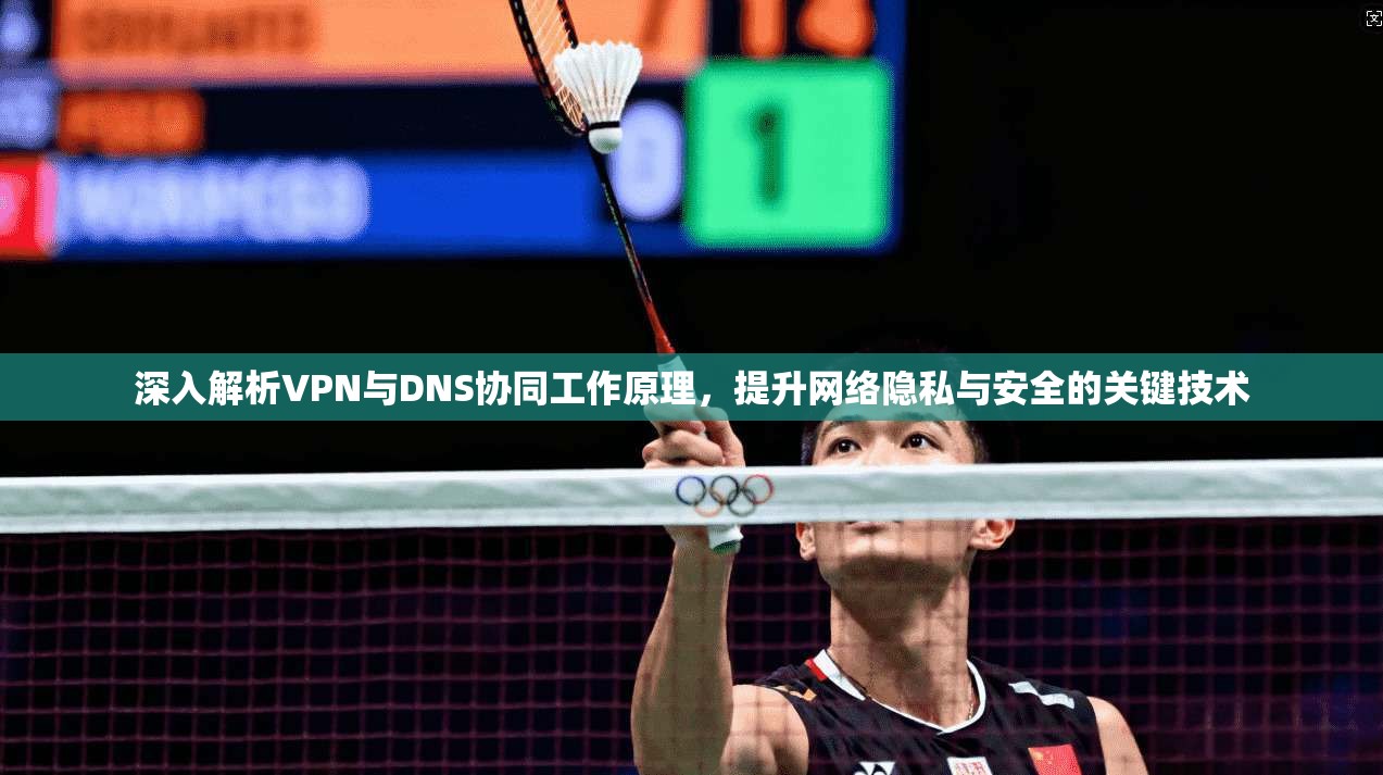 深入解析VPN与DNS协同工作原理,提升网络隐私与安全的关键技术