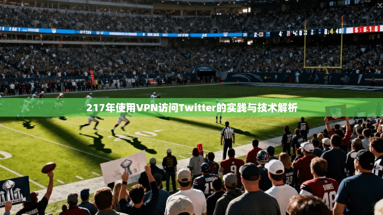 217年使用VPN访问Twitter的实践与技术解析