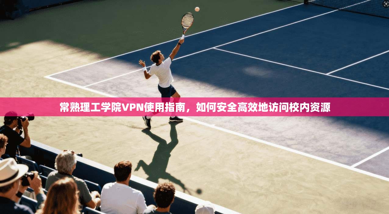 常熟理工学院VPN使用指南，如何安全高效地访问校内资源