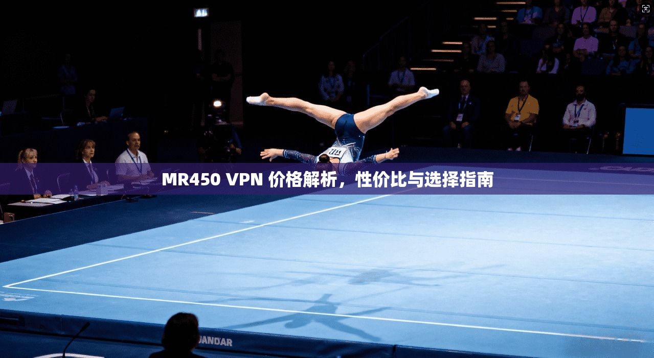MR450 VPN 价格解析，性价比与选择指南