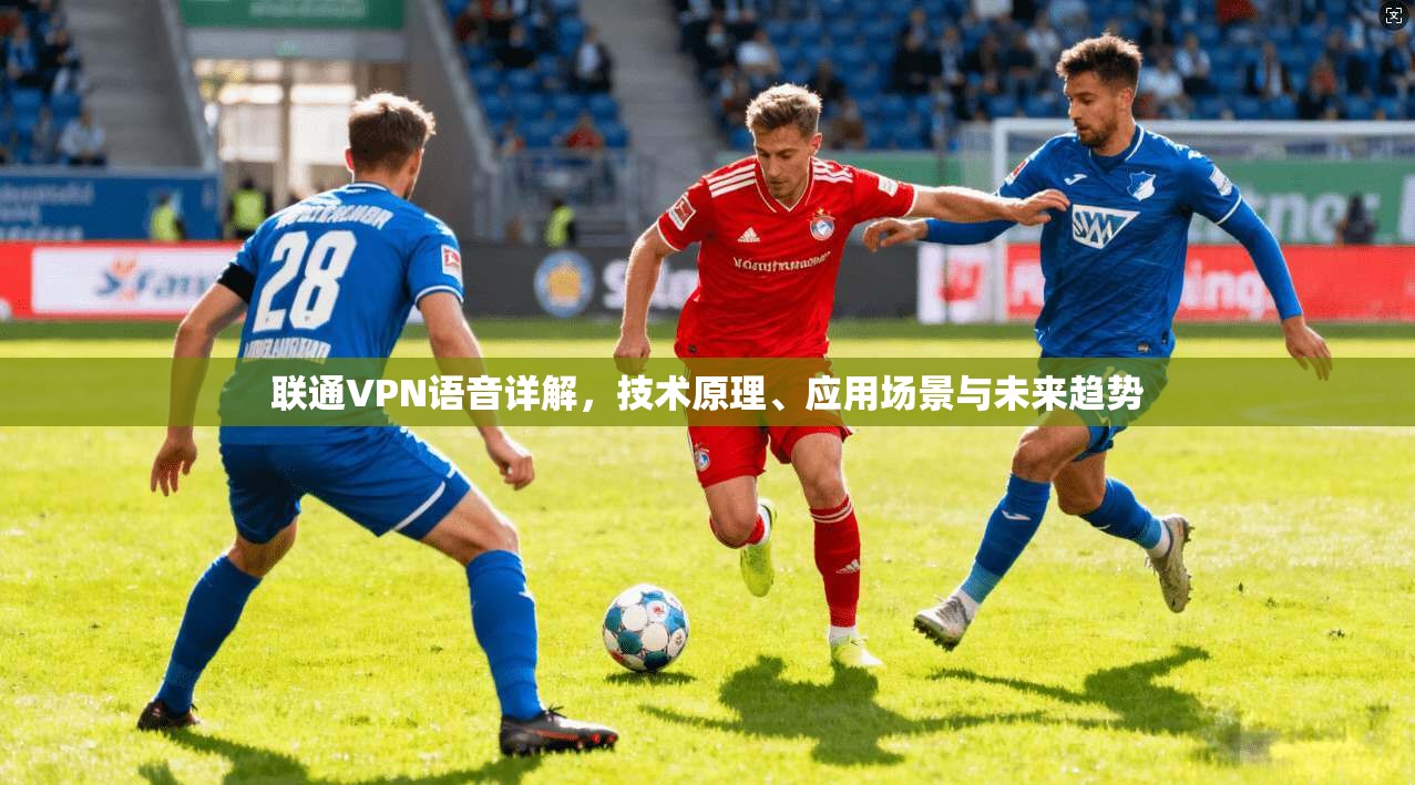 联通VPN语音详解，技术原理、应用场景与未来趋势