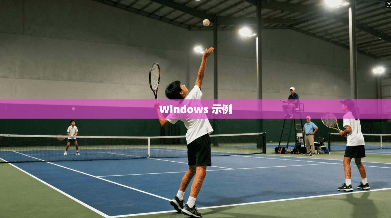 Windows 示例